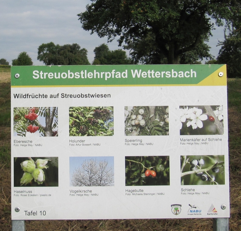 Streuobstwiesenlehrpfad Grünwettersbach