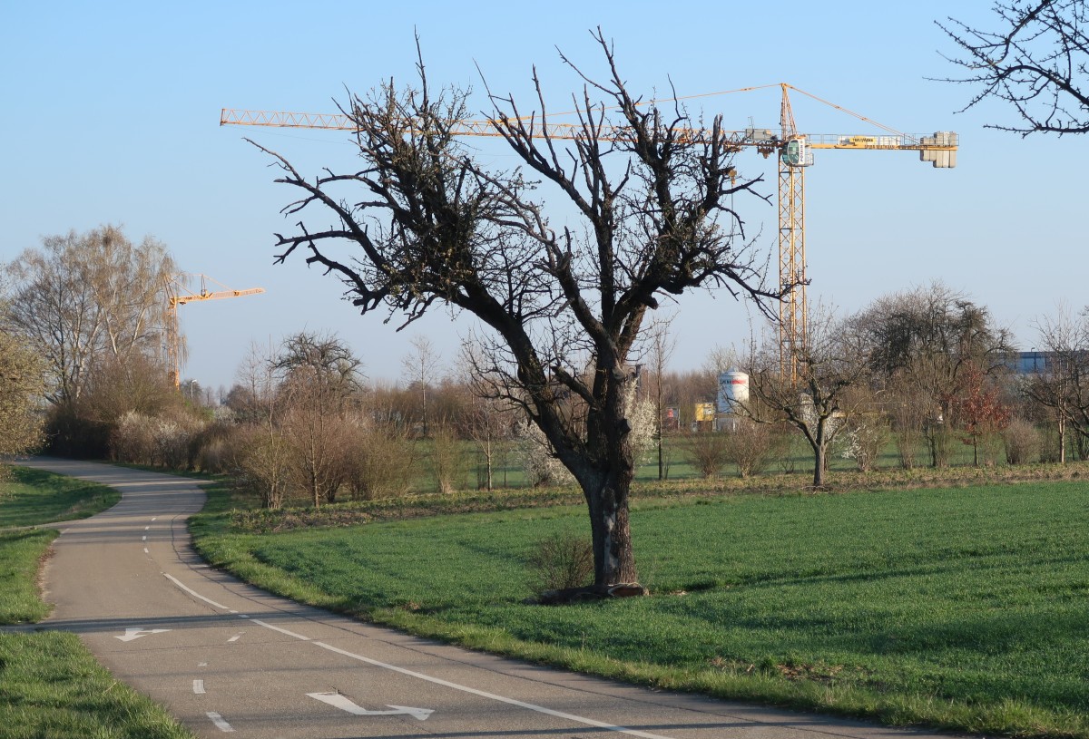 Gewerbegebiet Winterrot, Karlsruhe-Palmbach, Rudolf-Link-Straße Gewerbegebiet Winterrot, Karlsruhe-Palmbach, Rudolf-Link-Straße