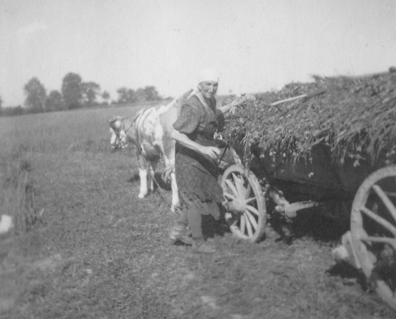 Feldarbeit um 1950