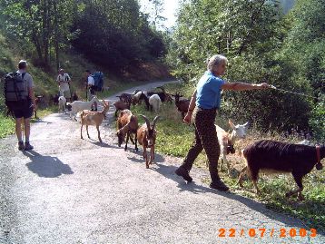 In den Waldensertälern im Piemont